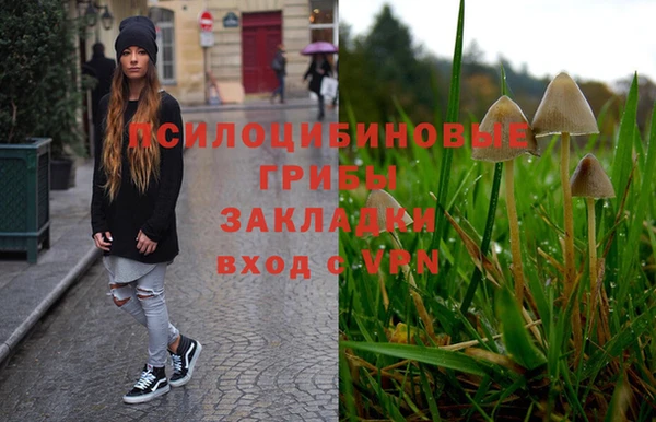 каннабис Белая Холуница