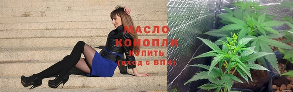 тгк Нея