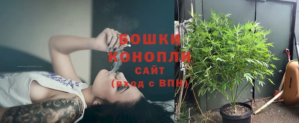 ГАЛЛЮЦИНОГЕННЫЕ ГРИБЫ Нефтекумск