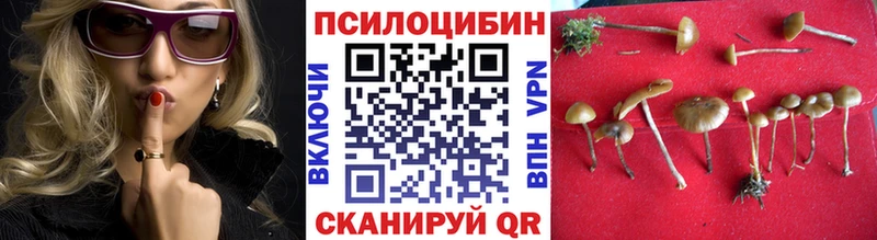 где продают наркотики  Тамбов  darknet какой сайт  Галлюциногенные грибы Psilocybine cubensis 